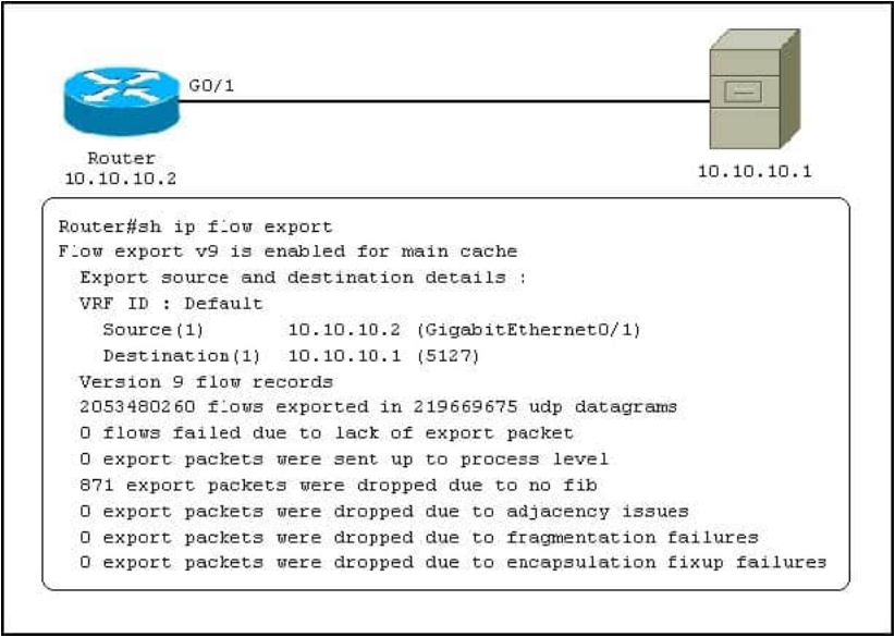 300-101 dumps