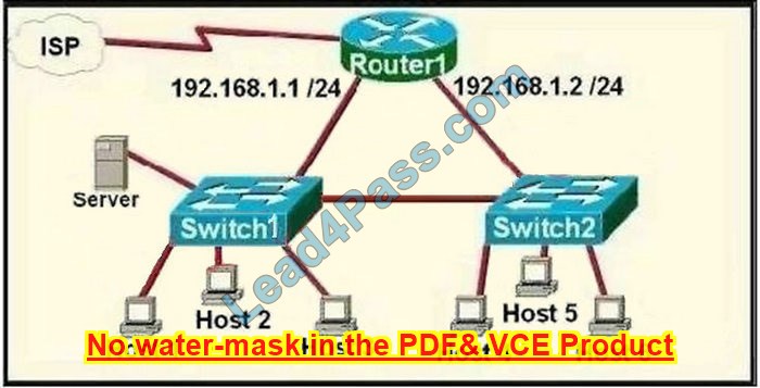 CCNA 200-301 dumps topic exam questions 10